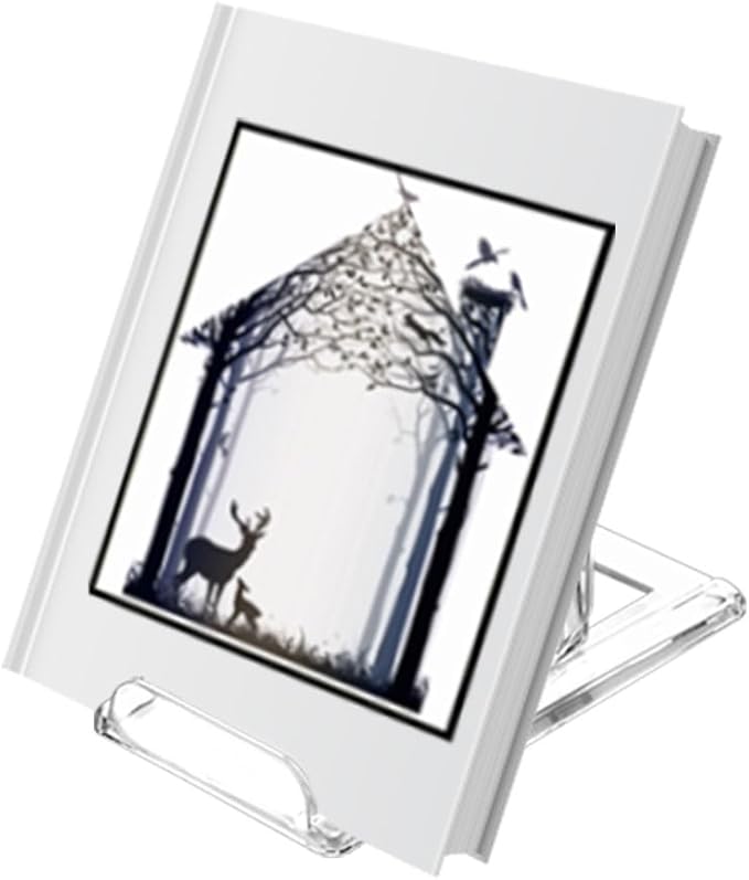 (10 Pack )Acrylic Book Stand for Display Adjustable Clear Display Holder Easel Collector Stand for Home Office Back to School Comic Album CD Magazine Postcard Artworks (4.2 x 4.3 x 2.35 Inch)