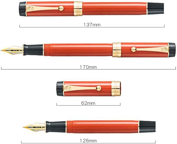 Jinhao 100 Fountain Pen Celluloid Classic Style, #6 Nib Smooth Writing Instrument with Refillable Converter and Pen Case Set