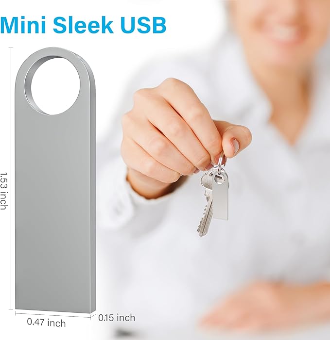 ABLAZE Custom Flash Drive 2GB 10 Pack, Personalized USB with Your Logo Metal Thumb Drives USB 2.0 Memory Stick Pendrive (Sliver)