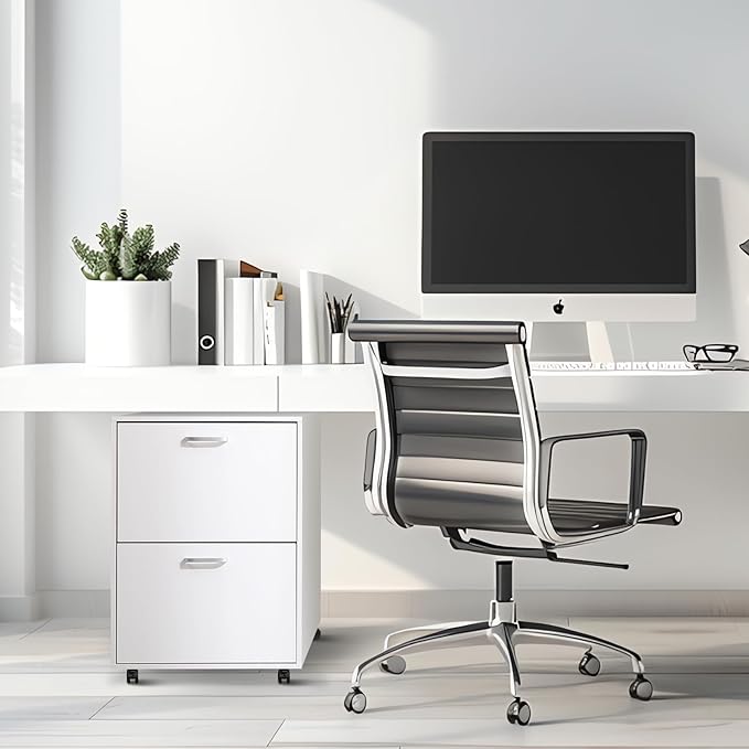 QDSSDECO 2 Drawer Mobile File Cabinet, Rolling Vertical Filing Cabinet fits A4, Legal Paper and Letter Paper for Home Office, White