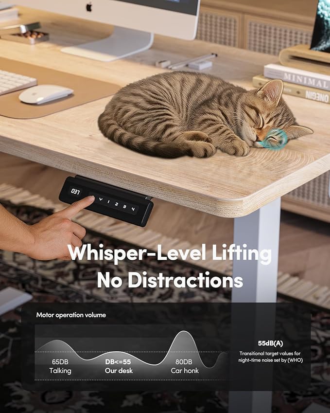 FEZIBO One-Piece Standing Desk Adjustable Height Stand up Home Office Desk, 48x24 Inch Electric Standing Computer Desk, with 4 Memory Presets, Fixable casters, Maple