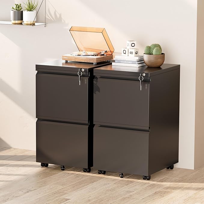 Greenvelly 2 Drawer Mobile File Cabinet with Lock, Metal Filing Cabinet on Wheels, Under Desk File Cabinet for Home Office Organizer Letter/Legal/A4 File (Assembly Required, Black)