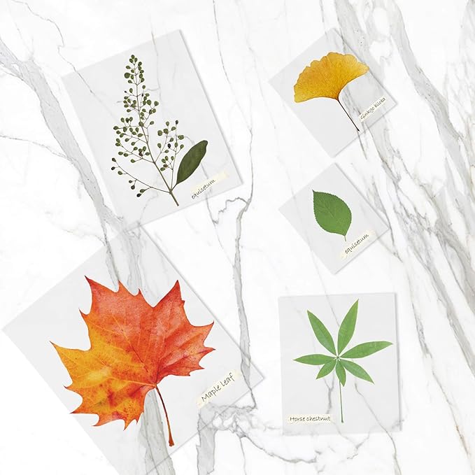 Thermal Laminating Pouches, FungLam Clear Laminating Sheets, 3 Mil Thickness Thermal Laminating Sheets, 9×11.5 Inch Laminator Sheets for Laminators, Clear Plastic Letter Size Sheets, 500 Pack.