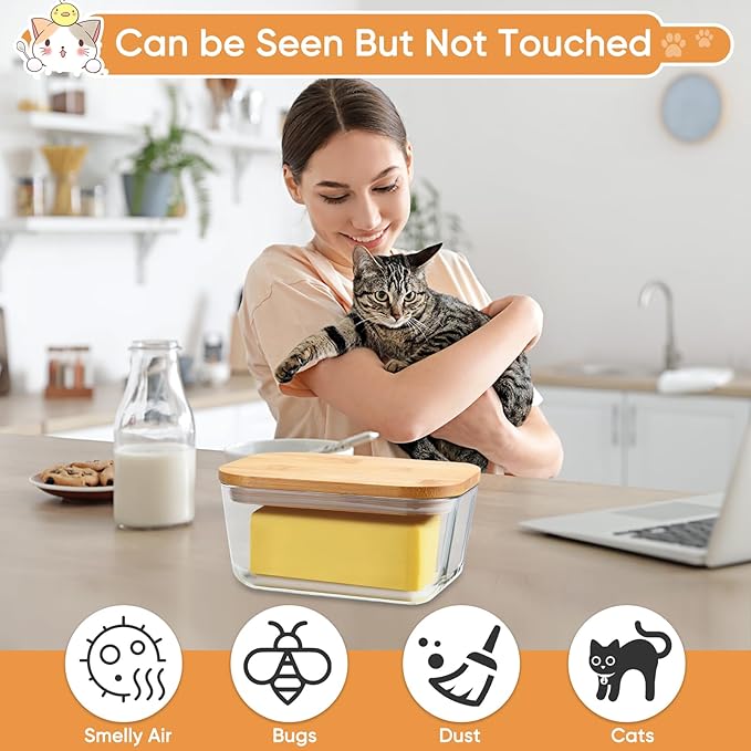 Glass Butter Dish With Sealed Lid - Large Tray for Refrigerator and Outdoor Use - Dishwasher Safe