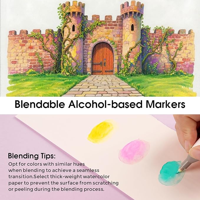 60 Colors Alcohol Markers Set, Dual Tips Blender Art Marker for Drawing, Permanent Sketch Markers for adult coloring, Alcohol Based, Adults Coloring and Artist Illustration.(BRUSH TIP)