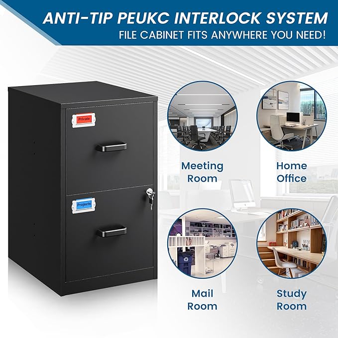 2 Drawer File Cabinet with Lock, 25.4" High Vertical Filing Cabinet, 17.7" Deep Metal Storage Cabinets for Home Office, Letter/Legal/A4/F4 Size, Black(Assemble Required)