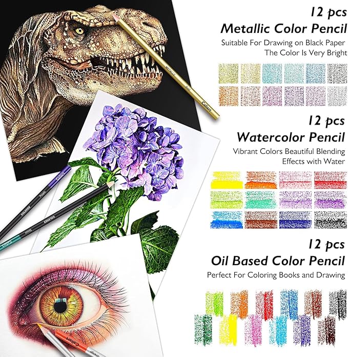 Caliart 176PCS Art Supplies Sketching Kit with 100 Sheets 3-Color Sketch Book, Graphite Colored Charcoal Watercolor & Metallic Pencils, School Supplies Gifts for Artists Adults Teens Girls Boys Kids