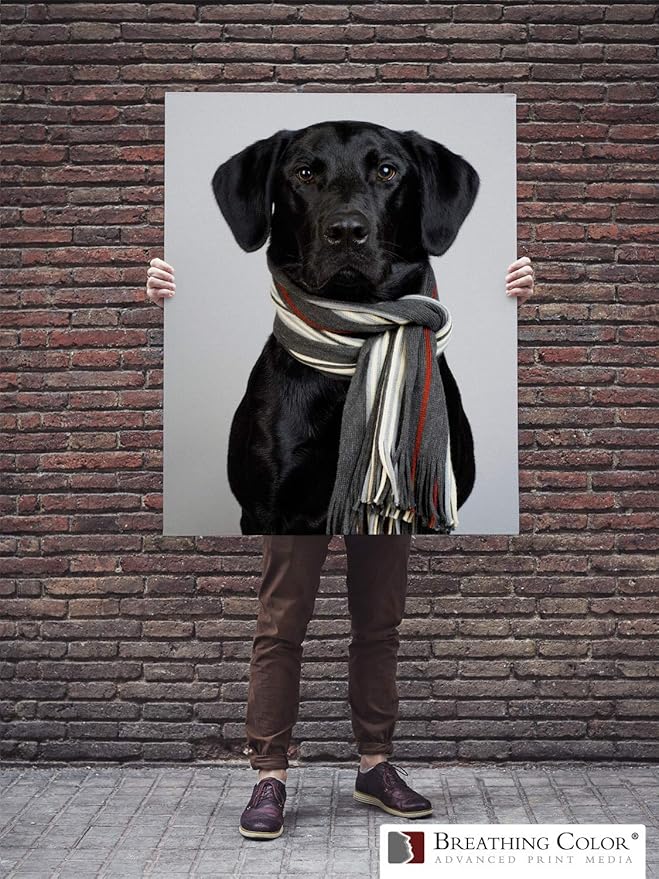 Premium Lyve Matte Canvas Paper Perfect For Use on Professional Makes and Models of Epson, Canon and HP printers preferred by Professionals. 19 mil textured Canvas offered in a 24 inch by 40 ft roll