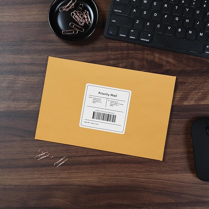 Quality Park 6 x 9 Clasp Envelopes, Clasp and Gummed Closures for Storing or Mailing, 28 lb Kraft Paper, 100 per Box (QUA37855)