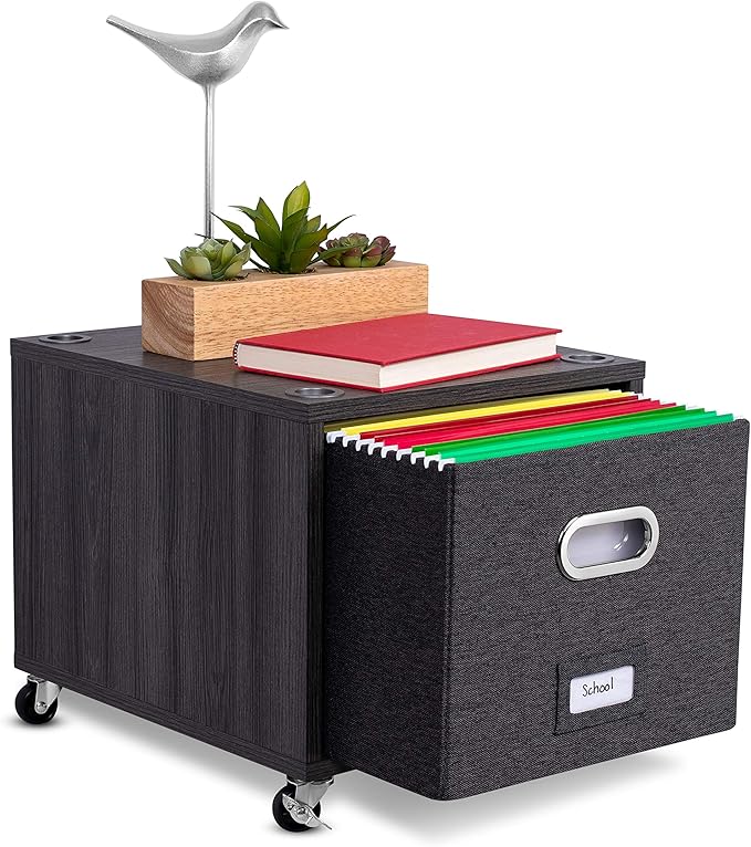 BIRDROCK HOME Rolling File Cabinet – Decorative Storage Shelf w/Removable Bins, Handles, and Wheels – Organize Files, Books, Toys, Under Desk Office Solution, Modern Design - 2 Lateral Drawers, Gray