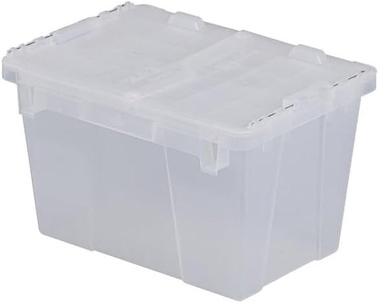 Plastic Storage Tote with Flip Lid, 15.19 x 10.88 x 9.69 inches, Clear, Stackable