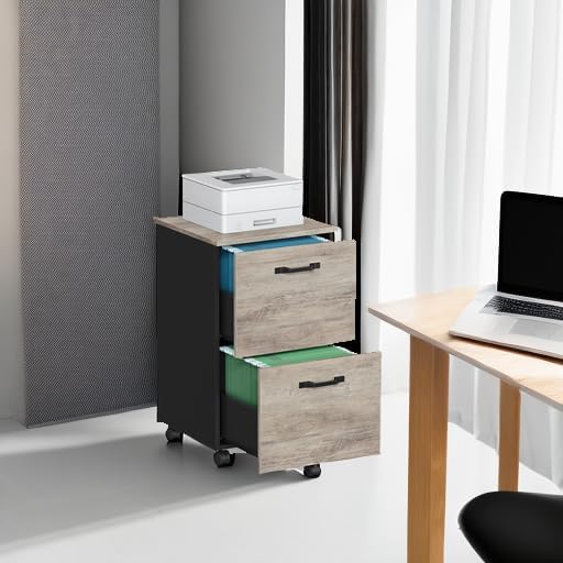 VASAGLE 2-Drawer File Cabinet, Small Rolling Filing Cabinet for Home Office, Printer Stand, for A4, Letter-Size Documents, 15.7 x 16.5 x 27.6 Inches, Heather Greige and Ink Black UOFC040B02