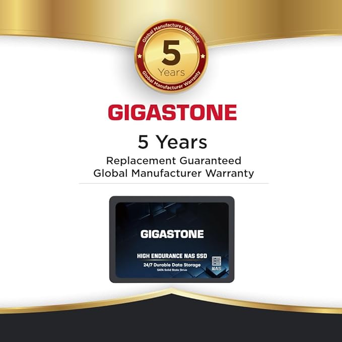 Gigastone 4TB NAS SSD Drive (2-Pack) 24/7 Durable High Endurance RAID Data Storage Network Attached Storage 2.5" SATA Internal Solid State Hard Drives