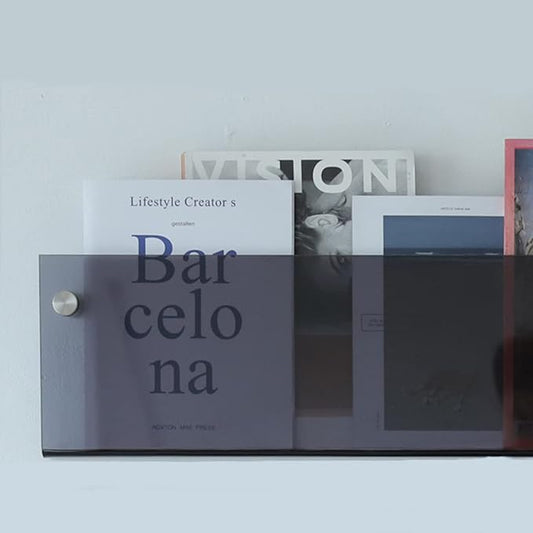 ROYALITA 2-Pack Acrylic Magazine Holder Brochure Holder, 24" Record Holder Magazine Rack, Fashion Hanging Bookshelf Literature Storage Rack for Waiting Room, Living Room, Office, Gray, 24 Inch