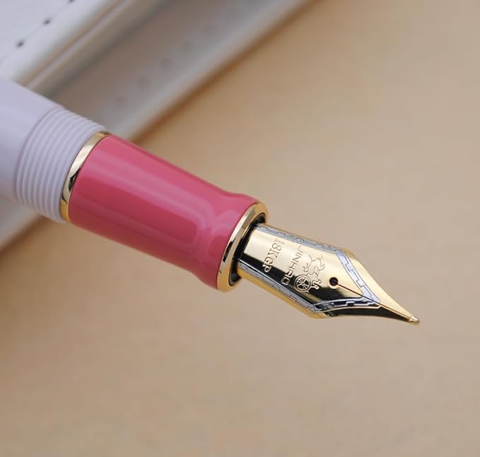 JINHAO 100 Fountain Pen with Ink Converter (Medium Nib 0.7mm, Guava)