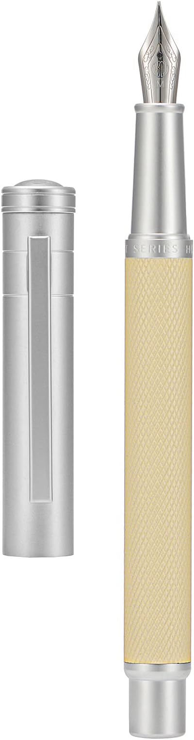 Hongdian Silver Birch Forest Aluminum Fountain Pen Medium Nib with Metal Box Writing Pen Set'1 Count (Pack of 1)