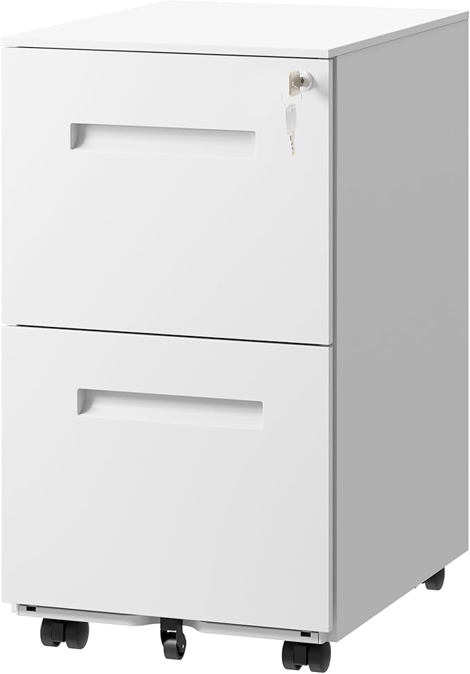 DEVAISE 2-Drawer Metal File Cabinet with Lock, Mobile Filing Cabinet Under Desk for Home Office, Fully Assembled Printer Stand fits F4/A4/Letter/Legal Size, White, 20" D x 15" W x 27" H