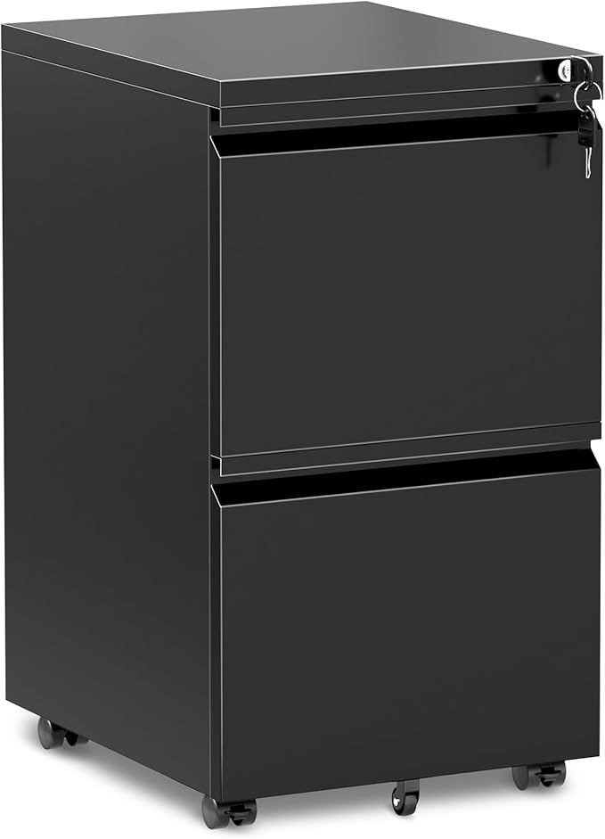 INTERGREAT Mobile File Cabinet with Lock,Under Desk Rolling Metal Filing Cabinet for Home Office, Black 2 Drawer File Cabinets with Wheels for Legal/Letter/A4 File