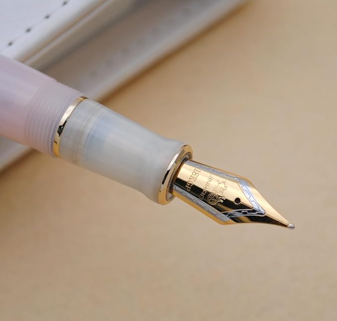 JINHAO 100 Fountain Pen with Ink Converter (Medium Nib 0.7mm, Light Pink)