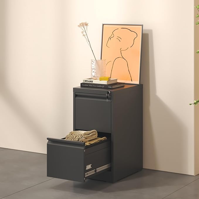 2 Drawer File Cabinet, Metal Vertical Filing Cabinet for Home Office, Locking Steel Easy Assemble 18" D File Cabinets for Legal/Letter/A4/F4 (Black)