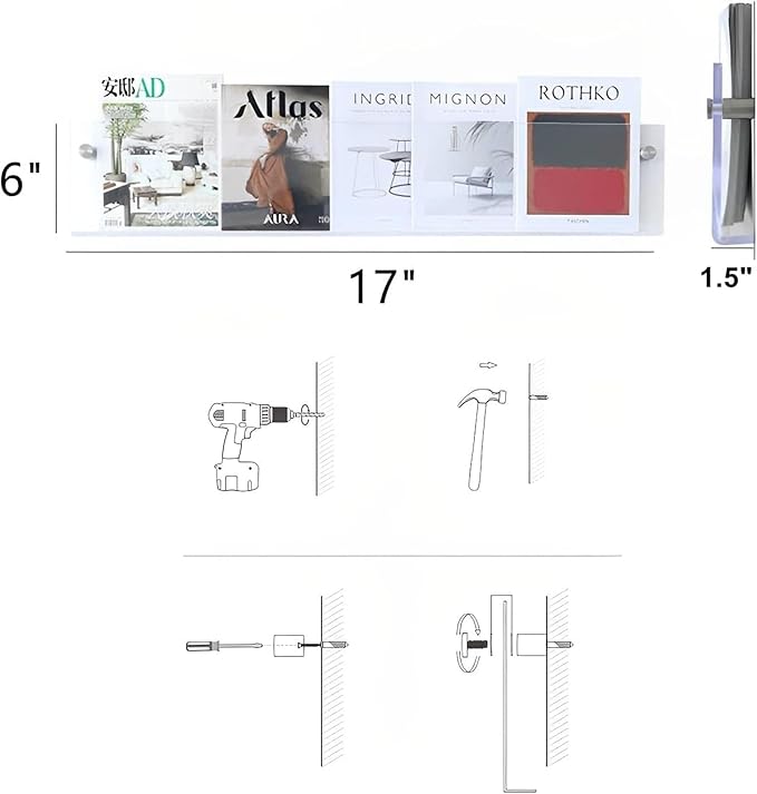 ROYALITA 2-Pack Acrylic Magazine Holder Brochure Holder, 17" Record Holder Magazine Rack, Fashion Hanging Bookshelf Literature Storage Rack for Waiting Room, Living Room, Office, Clear 17 Inch