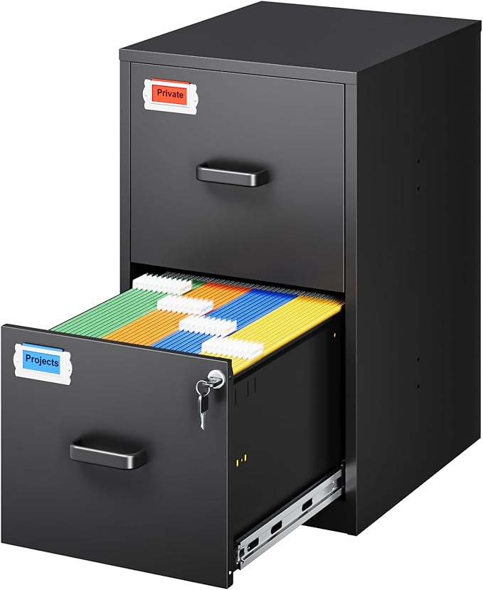 2 Drawer File Cabinet with Lock, 25.4" High Vertical Filing Cabinet, 17.7" Deep Metal Storage Cabinets for Home Office, Letter/Legal/A4/F4 Size, Black(Assemble Required)