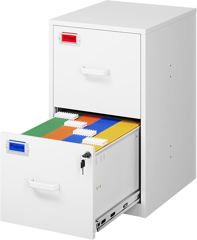 2 Drawer File Cabinet with Lock, 25.4" High Vertical Filing Cabinet, 17.7" Deep Metal Storage Cabinets for Home Office, Letter/Legal/A4/F4 Size, White(Assemble Required)