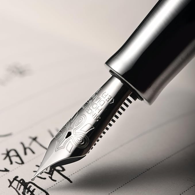 Hongdian D1 Piston Fountain Pen Extra Fine Nib, Hollow Skeleton & Resin Pen with Metal Case Set (Silver)