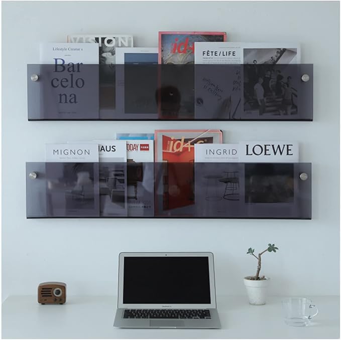 ROYALITA 2-Pack Acrylic Magazine Holder Brochure Holder, 24" Record Holder Magazine Rack, Fashion Hanging Bookshelf Literature Storage Rack for Waiting Room, Living Room, Office, Gray, 24 Inch