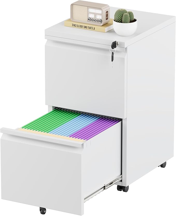 Greenvelly 2 Drawer Mobile File Cabinet with Lock, Metal Filing Cabinet on Wheels, Under Desk File Cabinet for Home Office Organizer Letter/Legal/A4 File (Assembly Required, White)