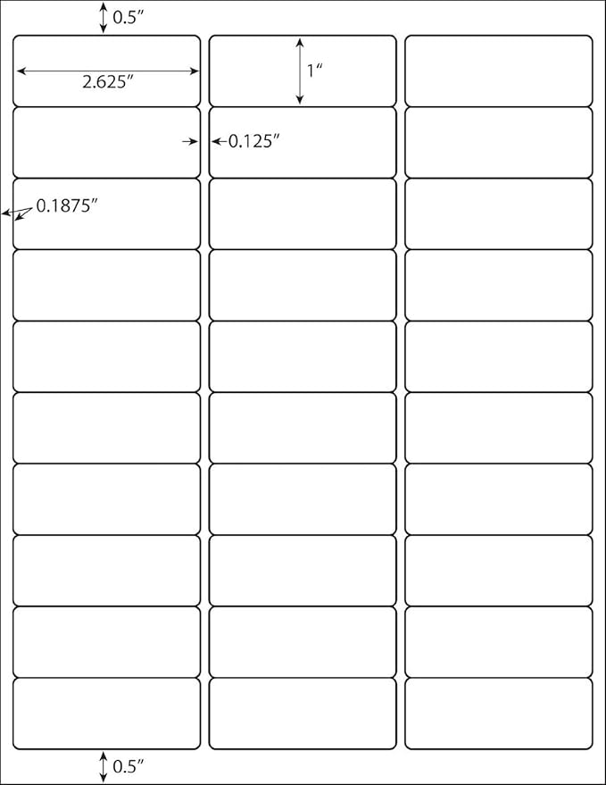 30 UP 1" X 2-5/8" FBA White Shipping Address Labels for Laser and Ink Jet Printer, 30 per Page (100 Sheet, 3000 Labels)