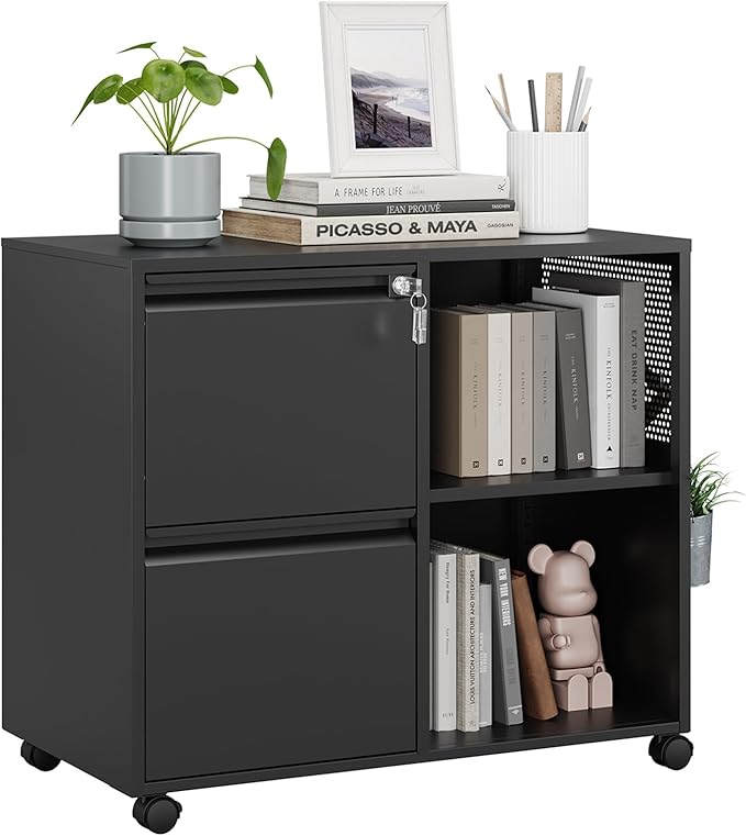 MIIIKO 2 Drawer File Cabinet on Wheels, Metal Filing Cabinets with Shelf, Home Office Mobile File Cabinet with Lock, Printer Stand Storage A4, Letter Size File Folders