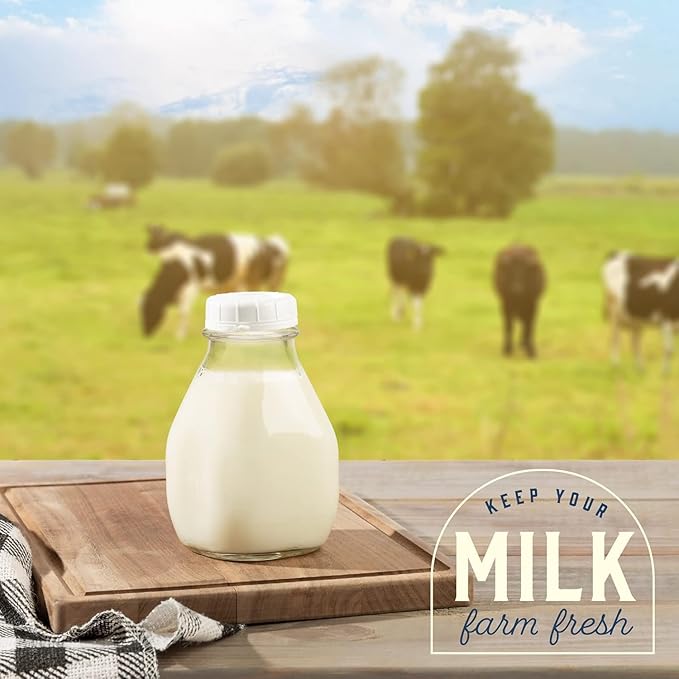 kitchentoolz 16 Oz Glass Milk Jug with Caps - Perfect Milk Container for Refrigerator Storage - 16 Ounce Short and Wide Glass Milk Bottle with Tamper Proof Lid and Pour Spout (3, 16 oz)