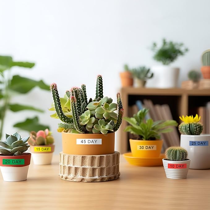 Pristar 6-Pack Compatible Label Tape Replacement for Casio Label Tape 9mm 0.35” XR-9WE XR-9X XR-9RD XR-9BU XR-9YW XR-9GN Work for KL-60 KL-100 KL-120 KL-750 KL-780 KL-7000 KL-8100 Label Maker