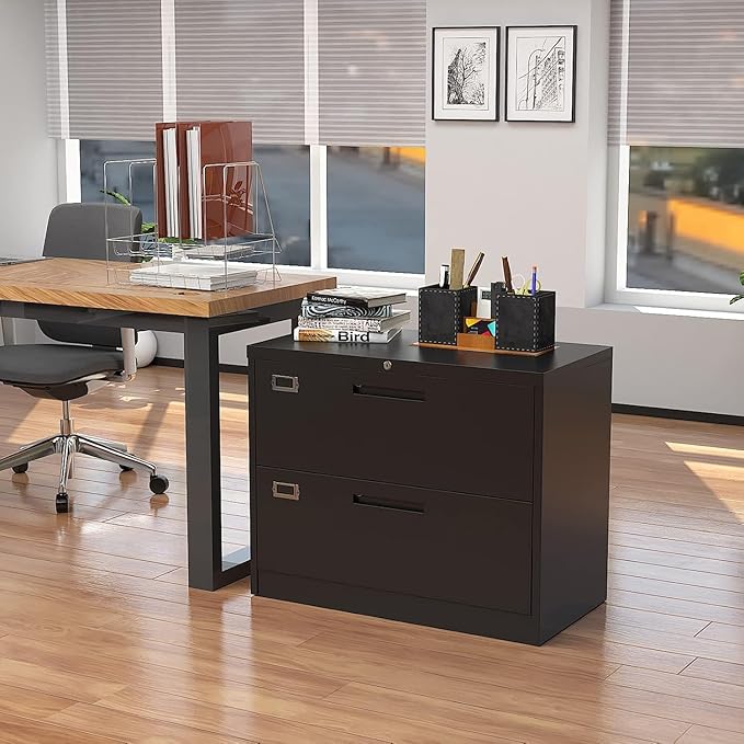 Lateral File Cabinet with Lock, 2 Drawer Large Metal Filing Cabinet,Home Office Lockable Storage Cabinet for Hanging Files Letter/Legal/F4/A4 Size-Assembly Required