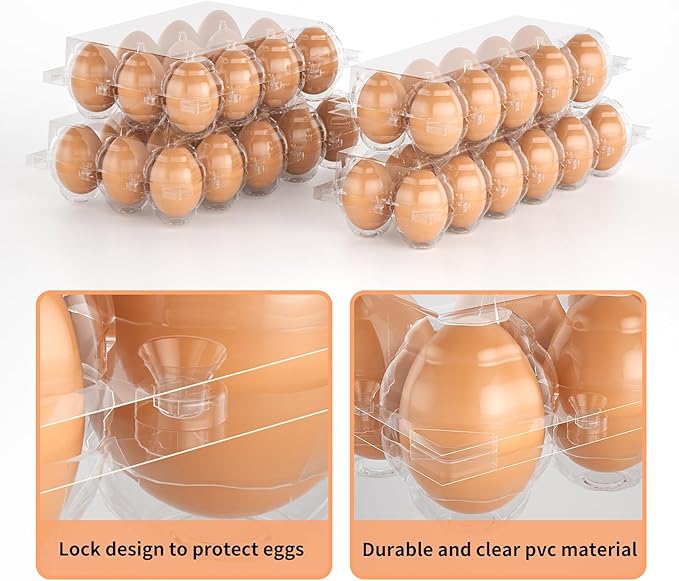 Egg Cartons Cheap Bulk, 60 Pack Egg Cartons Reusable 10 Count, Clear Plastic Wholesale Holder for Packaging, Chicken Container Holders for Family Farm Business Market Display Storage