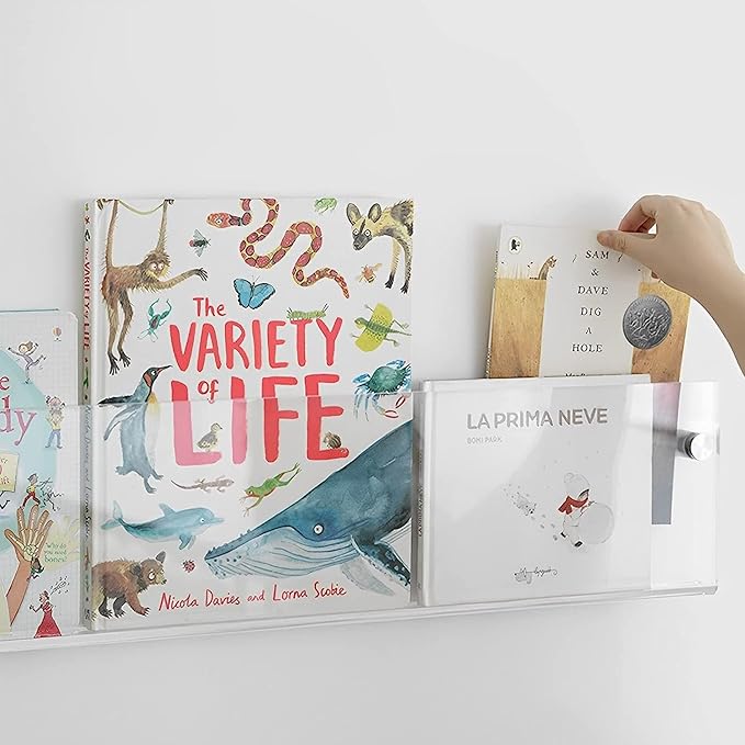 ROYALITA 2-Pack Acrylic Magazine Holder Brochure Holder, 24" Record Holder Magazine Rack, Fashion Hanging Bookshelf Literature Storage Rack for Waiting Room, Living Room, Office, Clear 24 Inch