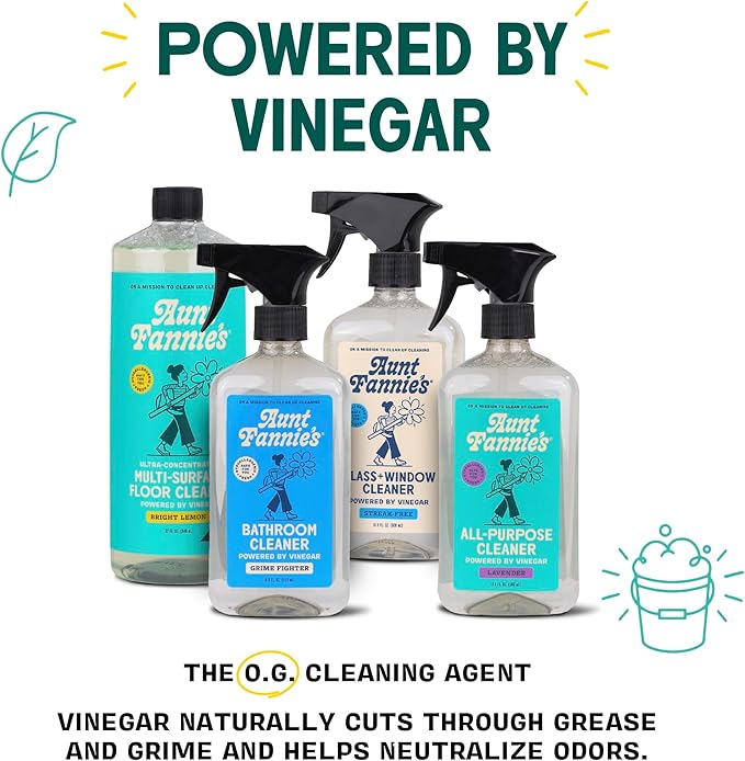 Aunt Fannie's Glass & Window Cleaning Vinegar Spray, Natural Streak-Free Spray, 16.9 Ounces (Pack of 1)