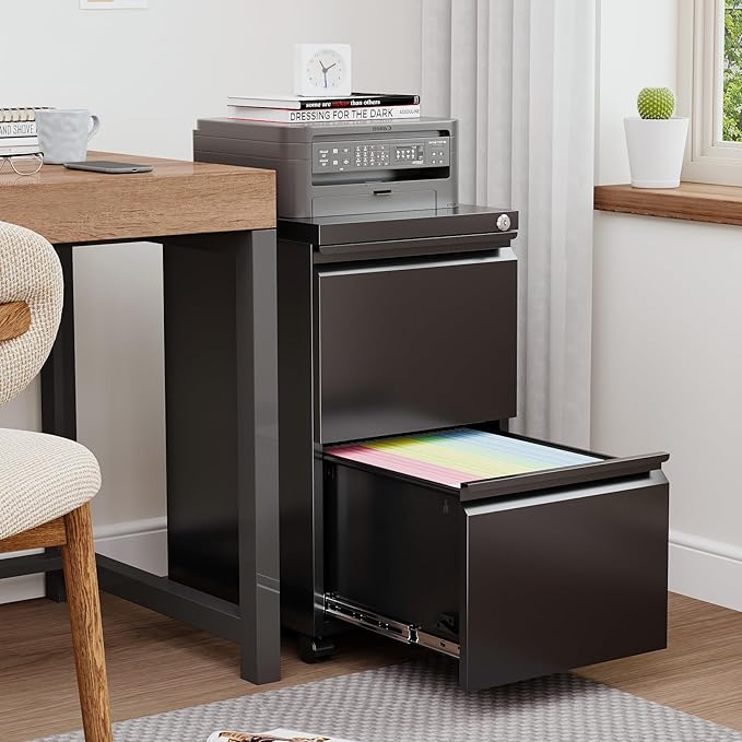 2 Drawers File Cabinet with Lock Metal Vertical File Cabient with Wheels Mobile File Cabinet for Office Home Legal/Letter/a4 Size Fully Assembled