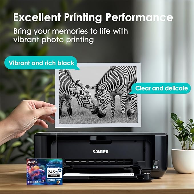 EcoVictor 245XL Black Ink Cartridge Replacement for Canon 245 XL PG-245 XL (Black 2 Pack) Compatible to Pixma MX490 MX492 MG2522 TR4520 TR4500 TS3122 TS3322 MG2520 MG2500 MG3022 TS3320 TR4522 Printer