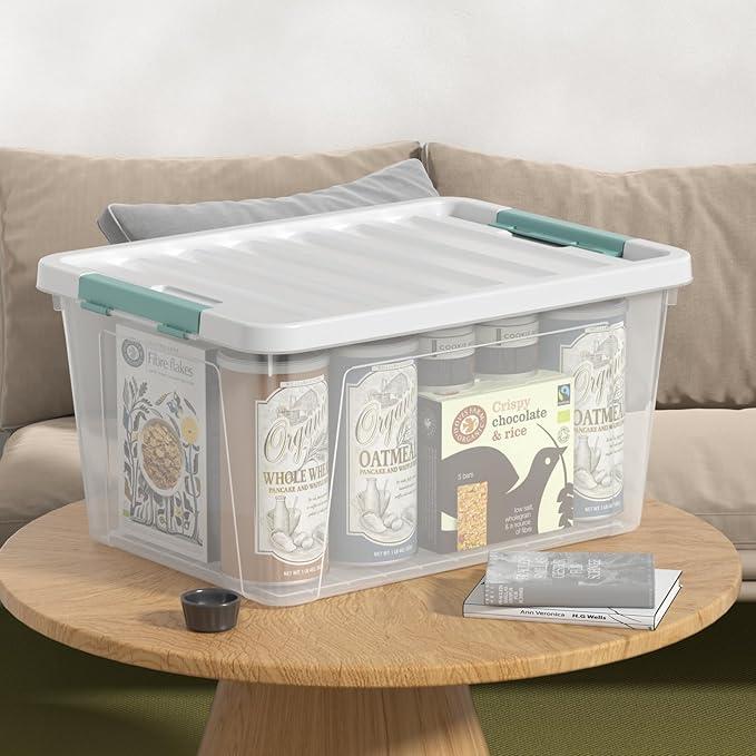 Gainhope 6 Pack 35 L Clear Plastic Storage Bin, Latch Storage Box with Lid