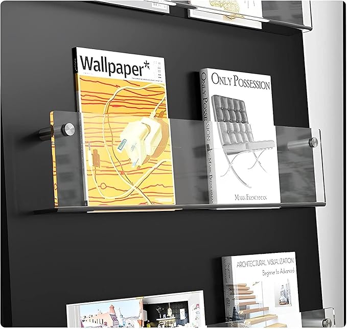 ROYALITA 2-Pack Acrylic Magazine Holder Brochure Holder, 17" Record Holder Magazine Rack, Fashion Hanging Bookshelf Literature Storage Rack for Waiting Room, Living Room, Office, Clear 17 Inch
