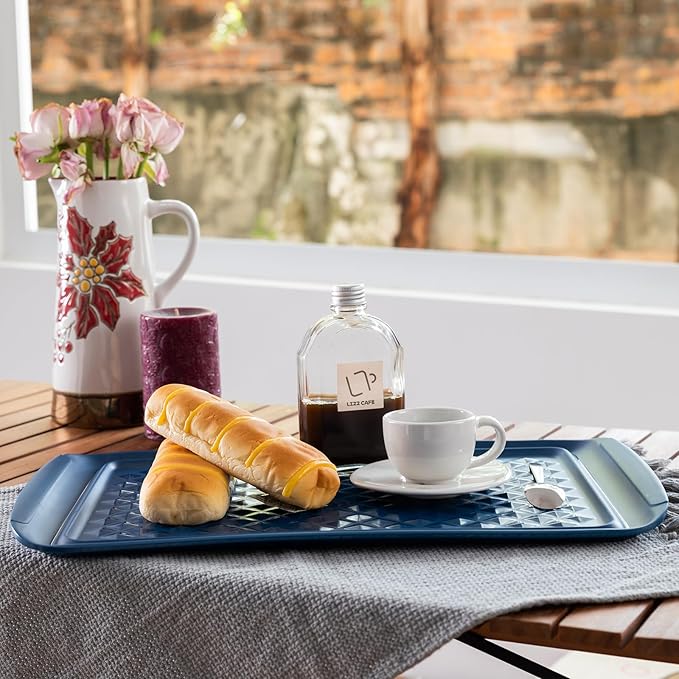 LEHAHA Grilling Prep Trays, Melamine BBQ Prep and Serving Platter and Tray for Outdoor Entertaining, Food Serving Tray, Set of 2, 17" x 10.5", Blue and White