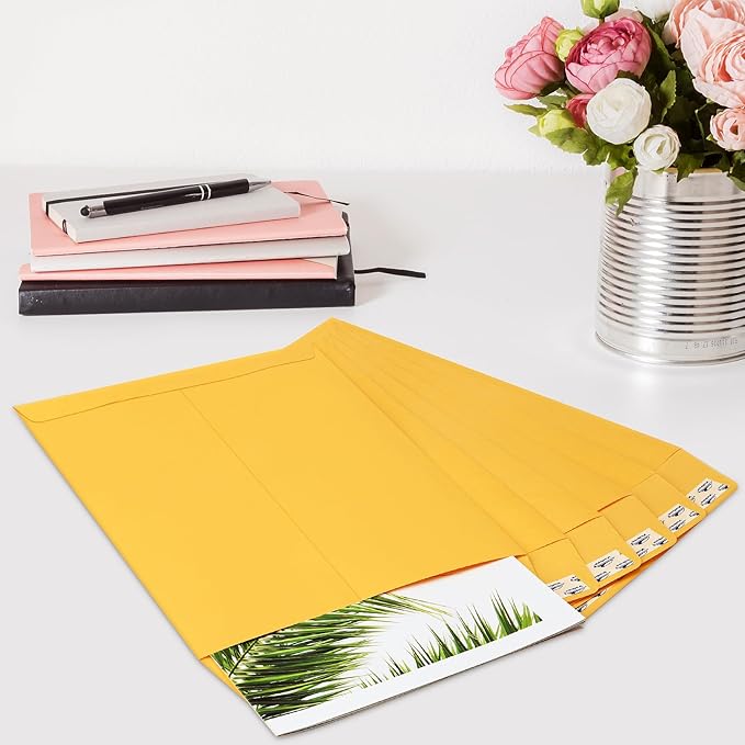 ValBox 9x12 Self Seal Security Catalog Envelopes 250 Packs Brown Kraft Envelopes with Peel and Seal Flap for Mailing, Organizing and Storage