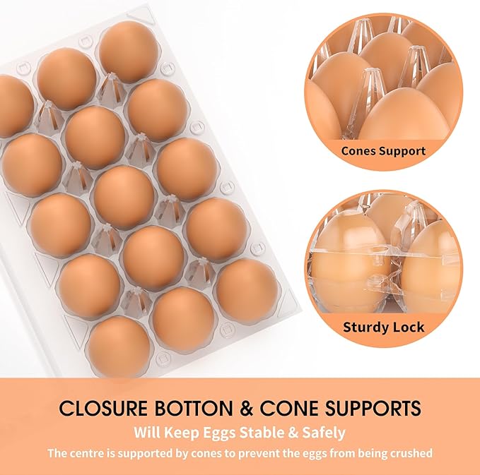 Egg Cartons Cheap Bulk, 60 Pack Egg Cartons Reusable 10 Count, Clear Plastic Wholesale Holder for Packaging, Chicken Container Holders for Family Farm Business Market Display Storage