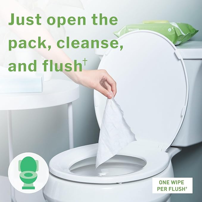 McKesson Flushable* Adult Wet Wipes – 576 Wipes (12 Pack of 48) – Aloe & Vitamin E, Plant-Based Cleansing Wipes, Scented