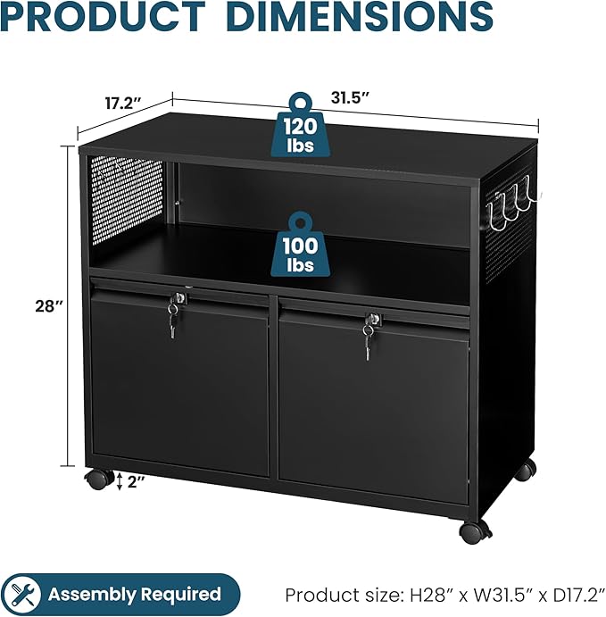 MIIIKO File Cabinet with Storage 2 Drawers, Rolling File Cabinet for Home Office, Metal Black 2 Drawers Storage with Shelf, for Printer, Letter A4 File Organizer
