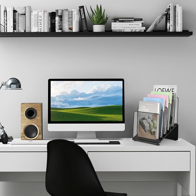 File Organizer for Desk, File Folder Organizer with 5-Section Vertical Rack, Suitable for Home Office Document Organization and Storage(Black)