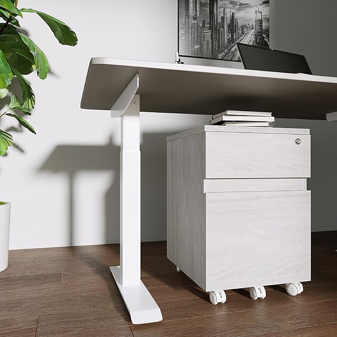 Techni Mobili Rolling Lock and Storage 2 Drawer Vertical Filing Cabinet, 15.75" L x 17.75" W x 23" H,Grey