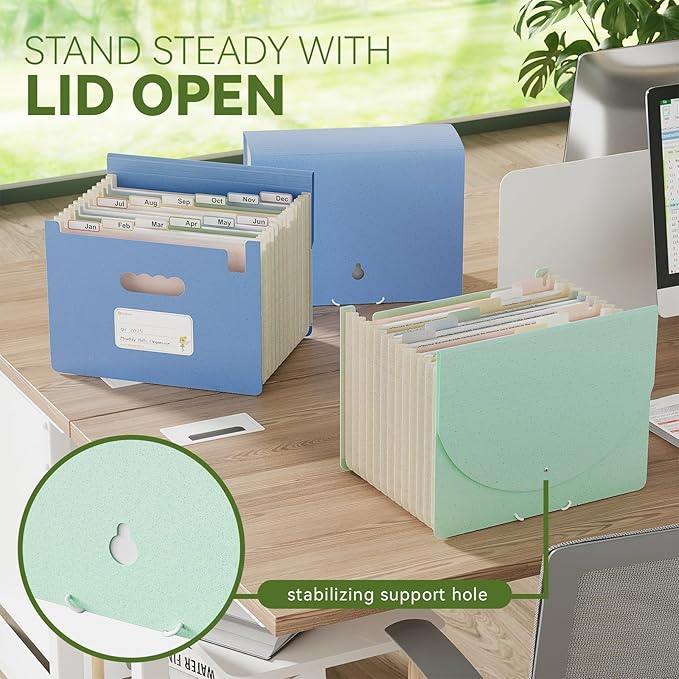 Accordion File Organizer, 12 Pockets Wheat Straw Expanding File Folder, Portable Monthly Paper Bill Tax Receipt Organizer, Letter A4 Size Document Holder，Green Office with Colorful Tab，Mint Green